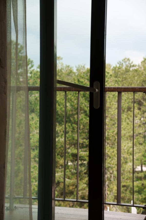 Hotel Palisad Zlatibor Kültér fotó